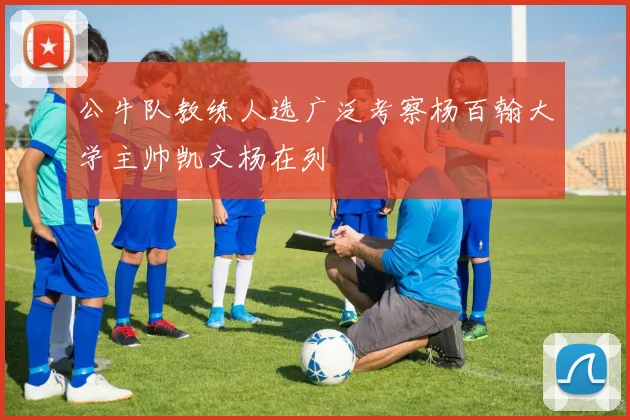 公牛队教练人选广泛考察杨百翰大学主帅凯文杨在列