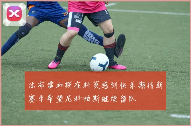 法布雷加斯在科莫感到快乐期待新赛季希望尼科帕斯继续留队
