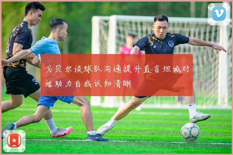 戈贝尔谈球队沟通提升直言坦诚对话助力自我认知清晰